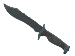Bowie Knife | Night (Field-Tested) — skin CS2