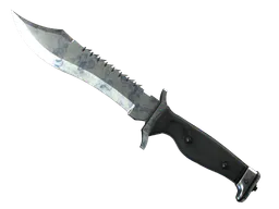 Bowie Knife | Stained (Field-Tested) — skin CS2