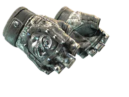 Broken Fang Gloves | Unhinged (Well-Worn) — skin CS2