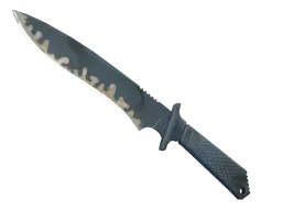 Classic Knife | Night Stripe (Well-Worn) — skin CS2
