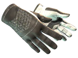 Driver Gloves | Black Tie (Minimal Wear) — skin CS2