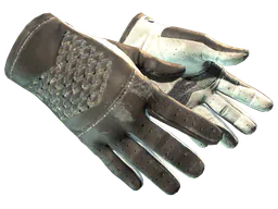 Driver Gloves | Black Tie (Well-Worn) — skin CS2