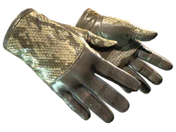 Driver Gloves | Diamondback (Field-Tested) — skin CS2
