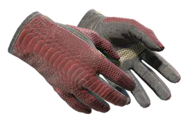 Driver Gloves | Dragon Fists (Field-Tested) — skin CS2