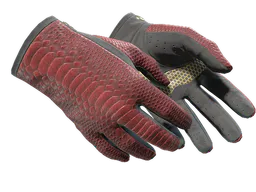 Driver Gloves | Dragon Fists (Minimal Wear) — skin CS2