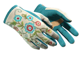 Driver Gloves | Garden (Minimal Wear) — skin CS2
