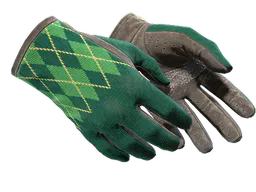 Driver Gloves | Hand Sweaters (Field-Tested) — skin CS2