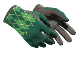 Driver Gloves | Hand Sweaters (Minimal Wear) — skin CS2