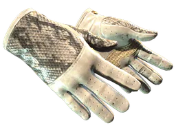 Driver Gloves | King Snake (Minimal Wear) — skin CS2