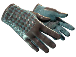 Driver Gloves Lunar Weave Factory New - Preço e onde comprar no CS2