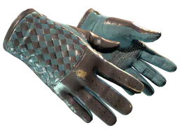 Driver Gloves | Lunar Weave (Field-Tested) — skin CS2