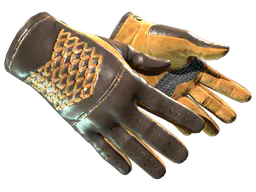 Driver Gloves | Overtake (Minimal Wear) — skin CS2