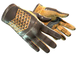 Driver Gloves | Overtake (Well-Worn) — skin CS2
