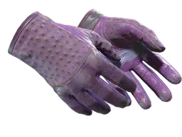 Driver Gloves | Plum Quill (Battle-Scarred) — skin CS2