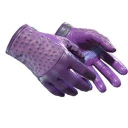 Driver Gloves Plum Quill Factory New - Preço e onde comprar no CS2