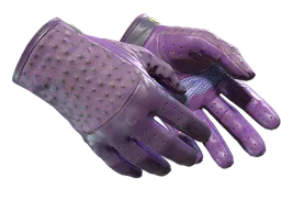 Driver Gloves | Plum Quill (Field-Tested) — skin CS2