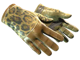 Driver Gloves | Queen Jaguar (Field-Tested) — skin CS2