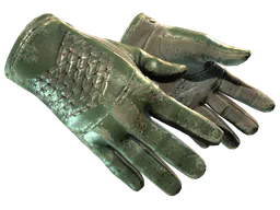 Driver Gloves | Racing Green (Battle-Scarred) — skin CS2