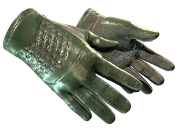 Driver Gloves | Racing Green (Field-Tested) — skin CS2