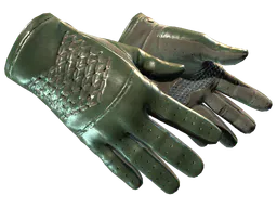 Driver Gloves | Racing Green (Minimal Wear) — skin CS2