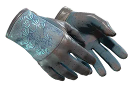 Driver Gloves | Seigaiha (Battle-Scarred) — skin CS2