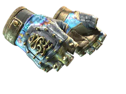 Hydra Gloves | Case Hardened (Well-Worn) — skin CS2