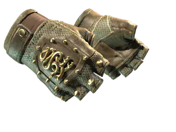 Hydra Gloves | Mangrove (Field-Tested) — skin CS2
