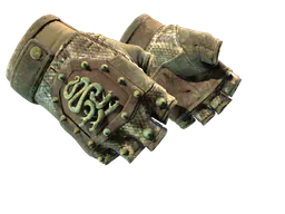 Hydra Gloves | Rattler (Battle-Scarred) — skin CS2