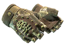 Hydra Gloves | Rattler (Field-Tested) — skin CS2