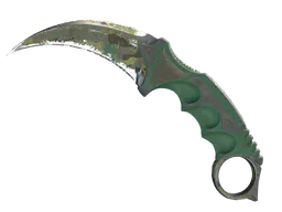 Karambit | Boreal Forest (Battle-Scarred) — skin CS2