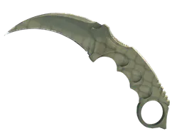 Karambit | Safari Mesh (Minimal Wear) — skin CS2