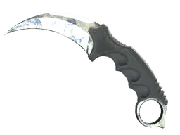 Karambit | Stained (Battle-Scarred) — skin CS2