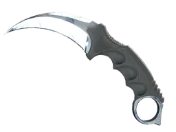 Karambit | Stained (Minimal Wear) — skin CS2