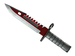 M9 Bayonet | Autotronic (Field-Tested) — skin CS2