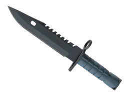 M9 Bayonet | Night (Minimal Wear) — skin CS2