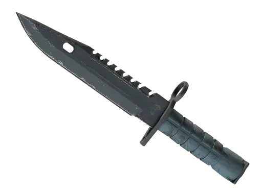 M9 Bayonet Night Well-Worn - Preço e onde comprar no CS2