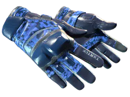Moto Gloves | Polygon (Minimal Wear) — skin CS2