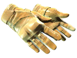 Moto Gloves | Transport (Field-Tested) — skin CS2