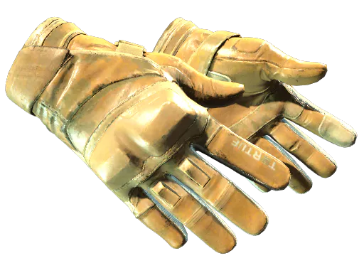 Moto Gloves Transport Field-Tested - Preço e onde comprar no CS2