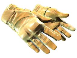 Moto Gloves | Transport (Minimal Wear) — skin CS2