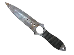 Skeleton Knife | Rust Coat (Well-Worn) — skin CS2
