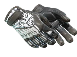 Specialist Gloves | Blackbook (Field-Tested) — skin CS2