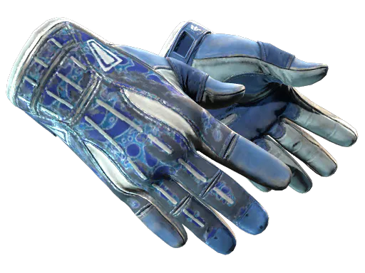 Sport Gloves Amphibious Battle-Scarred - Preço e onde comprar no CS2