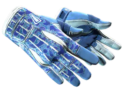 Sport Gloves Amphibious Factory New - Preço e onde comprar no CS2