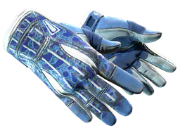 Sport Gloves | Amphibious (Well-Worn) — skin CS2