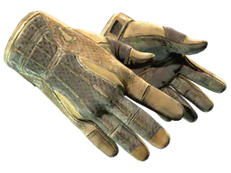 Sport Gloves | Arid (Battle-Scarred) — skin CS2