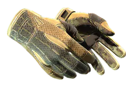 Sport Gloves Arid Factory New - Preço e onde comprar no CS2