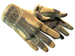 Sport Gloves | Arid (Field-Tested) — skin CS2