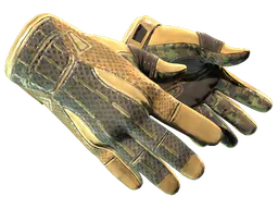 Sport Gloves | Arid (Minimal Wear) — skin CS2