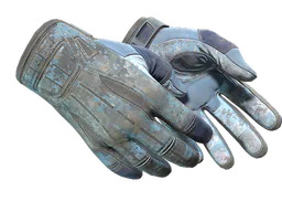 Sport Gloves | Frosty (Battle-Scarred) — skin CS2